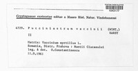 Naohidemyces vaccinii image